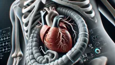 Pulsirajuća a trbušna aorta: Uzroci, simptomi i dijagnostika